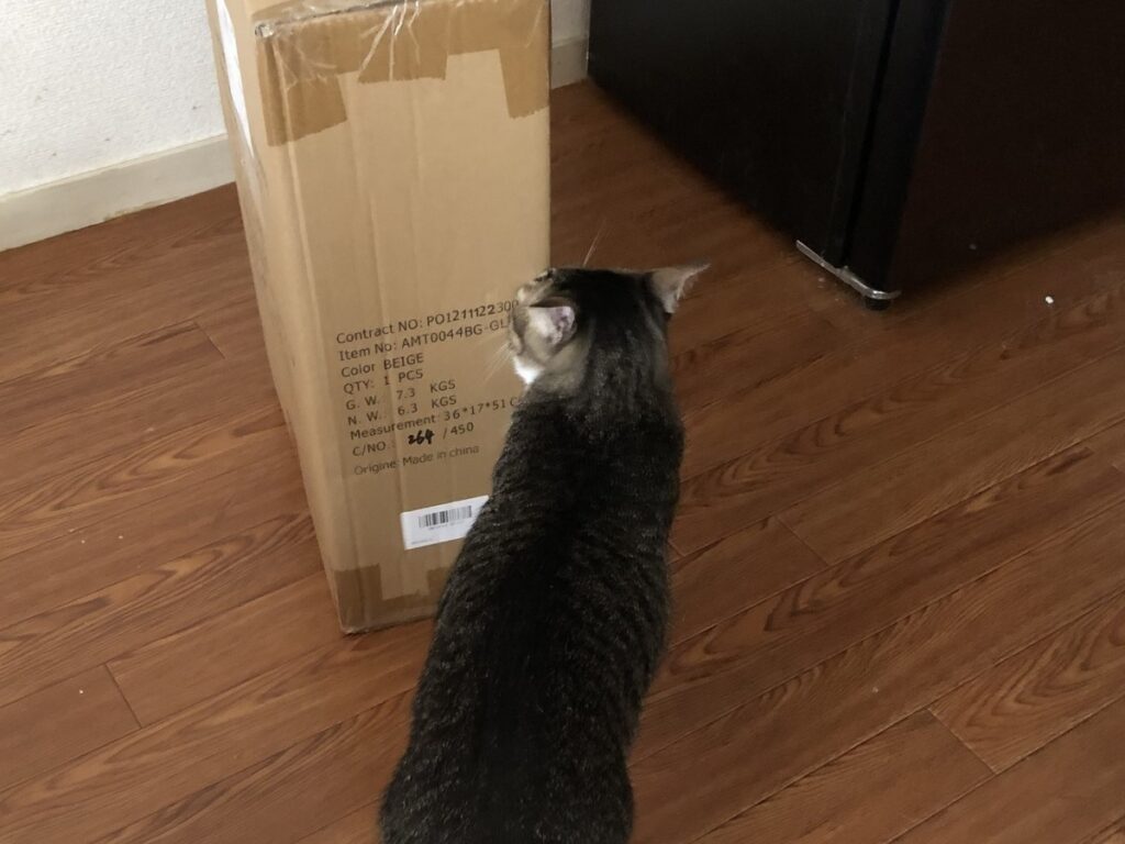 キャットタワーの箱をすりすりする猫