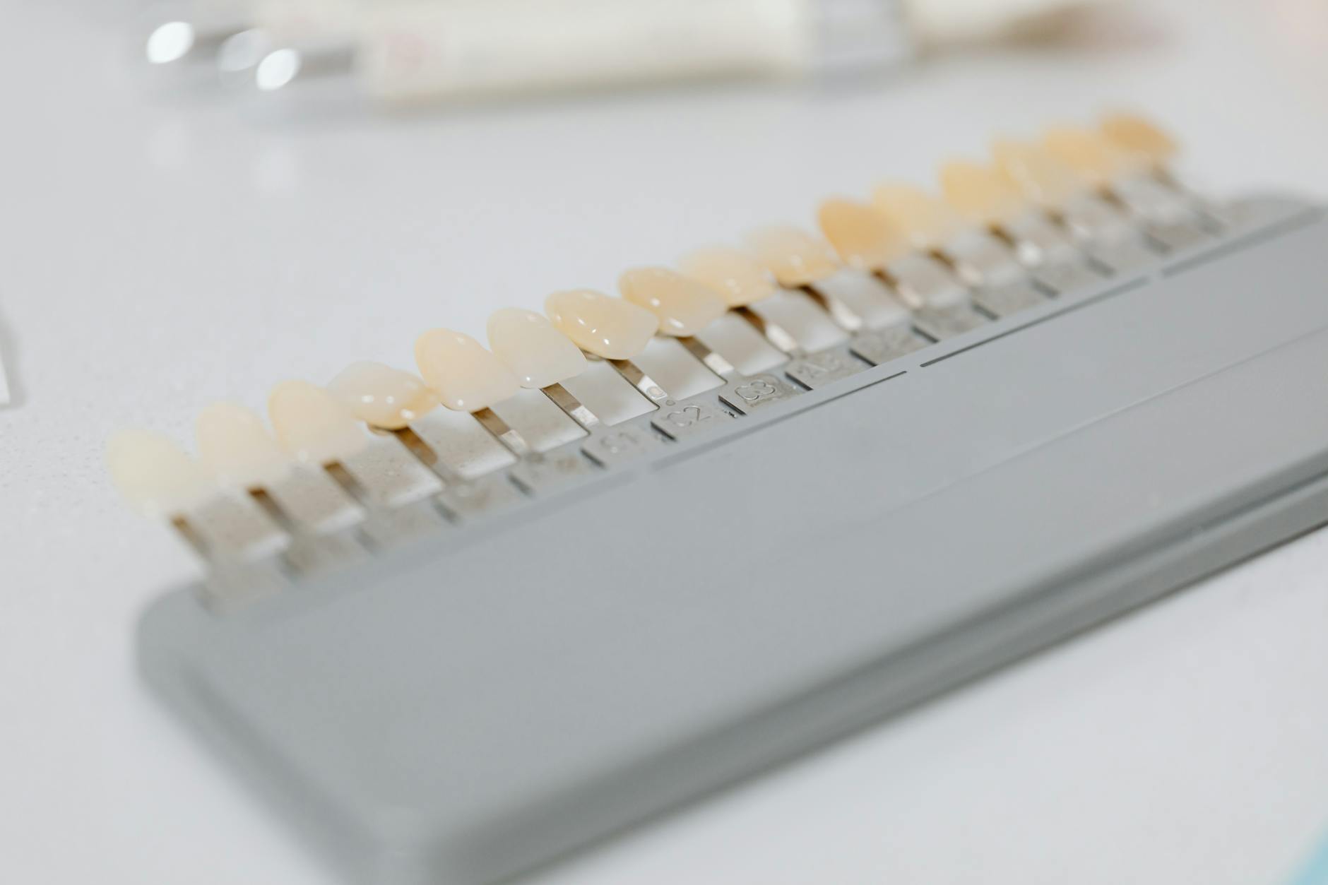 samples of teeth