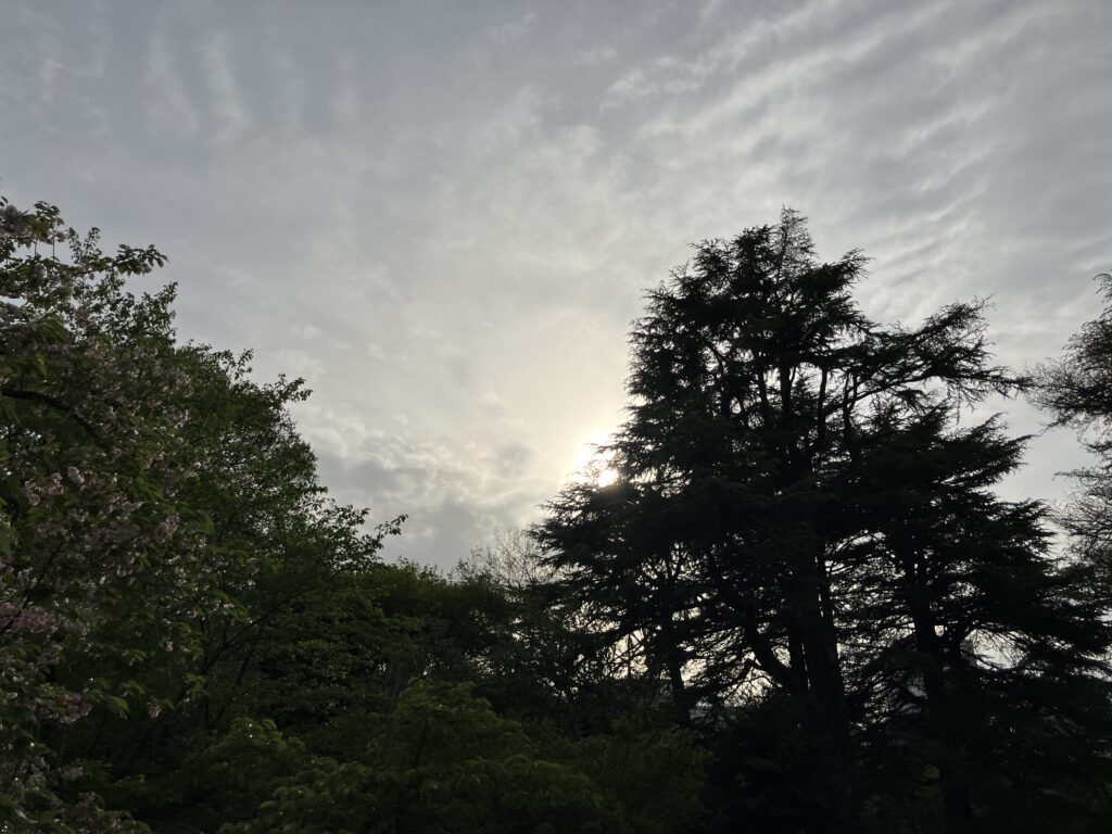 新宿御苑で撮影した空